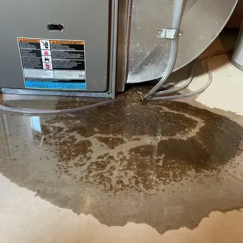 Appliance Leak Cleanup in Thompson Falls, MT